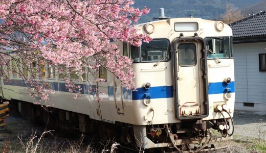 春が来た！なんと！！日本一早咲きの桜が見れるのはＪＲ日南線『北郷駅』？！