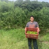 見据えるは地域の未来。若くして農園を経営する農家、鶴元太樹さん